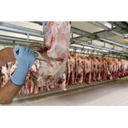 MAPA KryTech 838 High Density Polyethylene (HDPE) Gloves